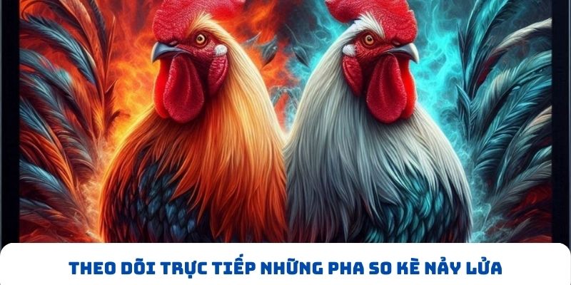 Theo dõi trực tiếp những pha so kè nảy lửa