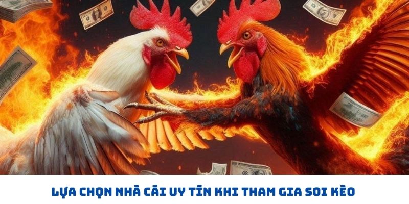 Lựa chọn nhà cái uy tín khi tham gia soi kèo