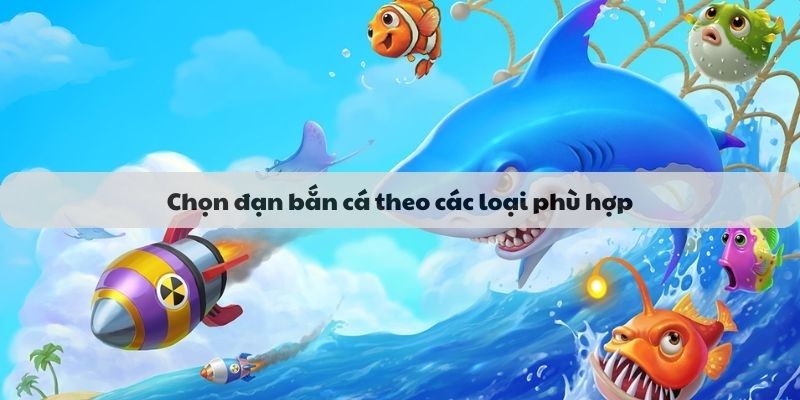 Chọn đạn bắn cá theo các loại phù hợp