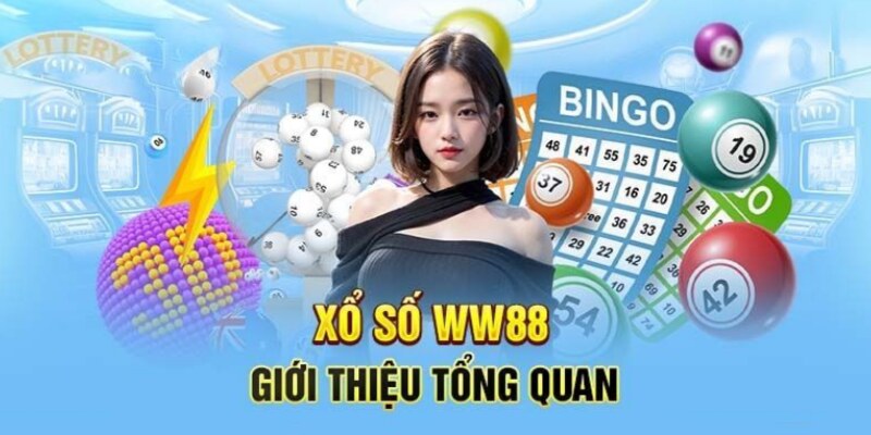 Khám phá các loại hình được cung cấp, đa dạng lựa chọn cho người chơi