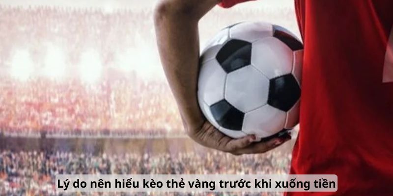Lý do nên hiểu kèo thẻ vàng trước khi xuống tiền
