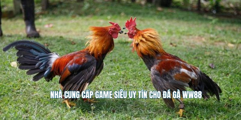 Nhà cung cấp game siêu uy tín cho đá gà WW88